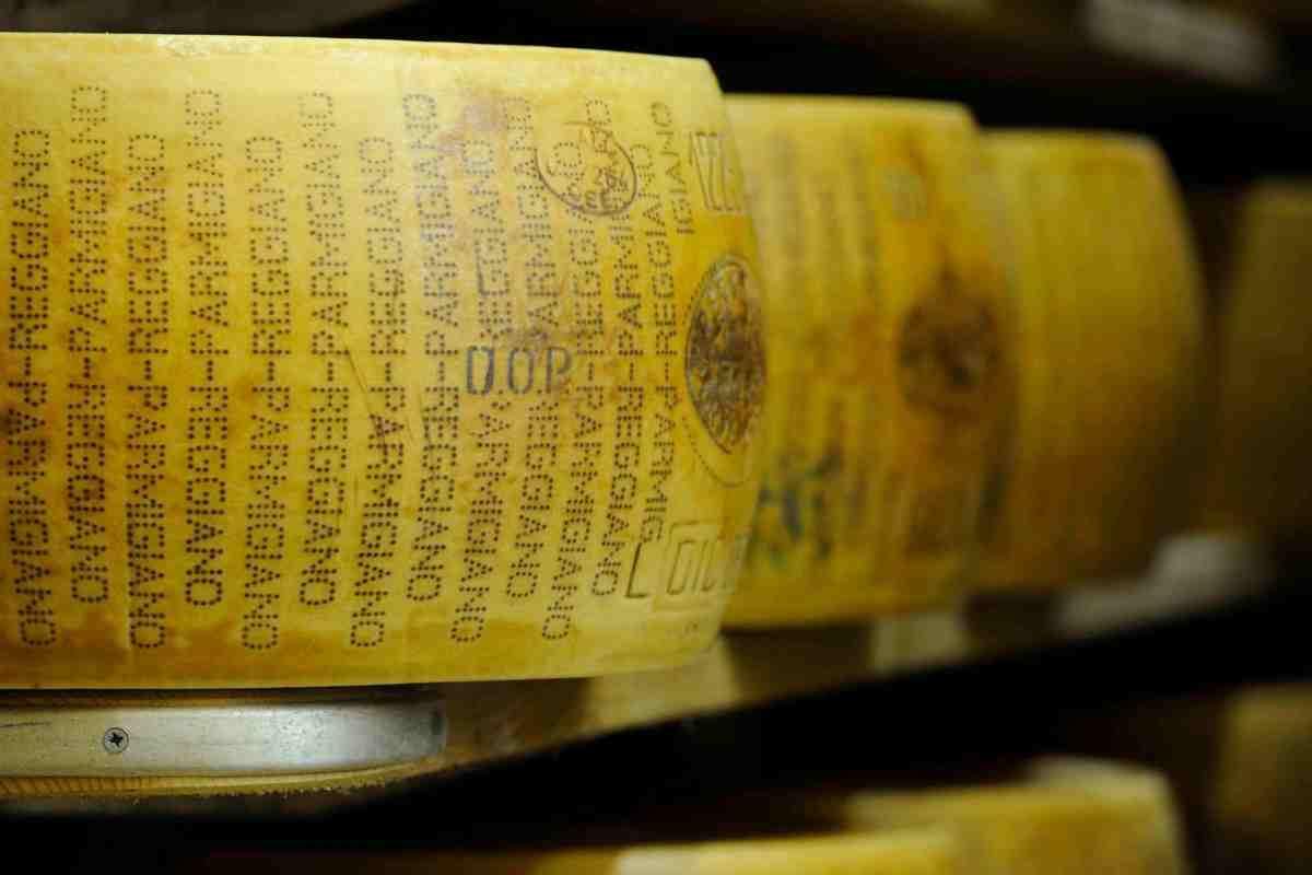 come diventare maestro battitore del Parmigiano Reggiano