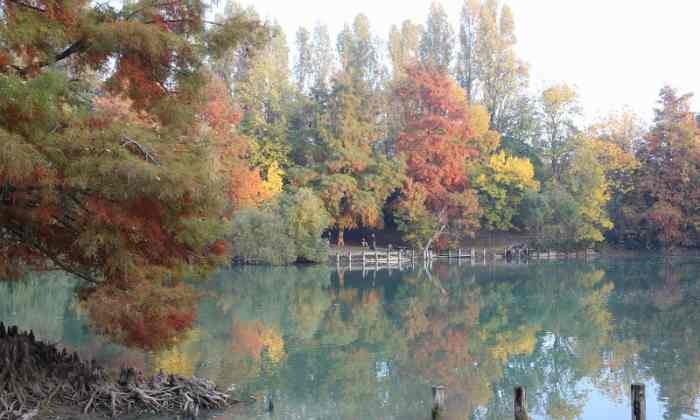 foliage a rimini dove vederlo 